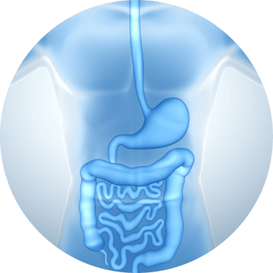Gulf Coast Surgical Group