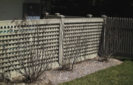 2” Square Lattice Fence Panels