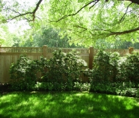 Wayside Fence Company